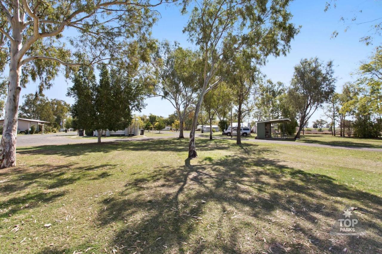 Goondiwindi Holiday Park المظهر الخارجي الصورة